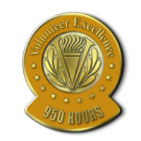 Volunteer Excellence - 950 Hours